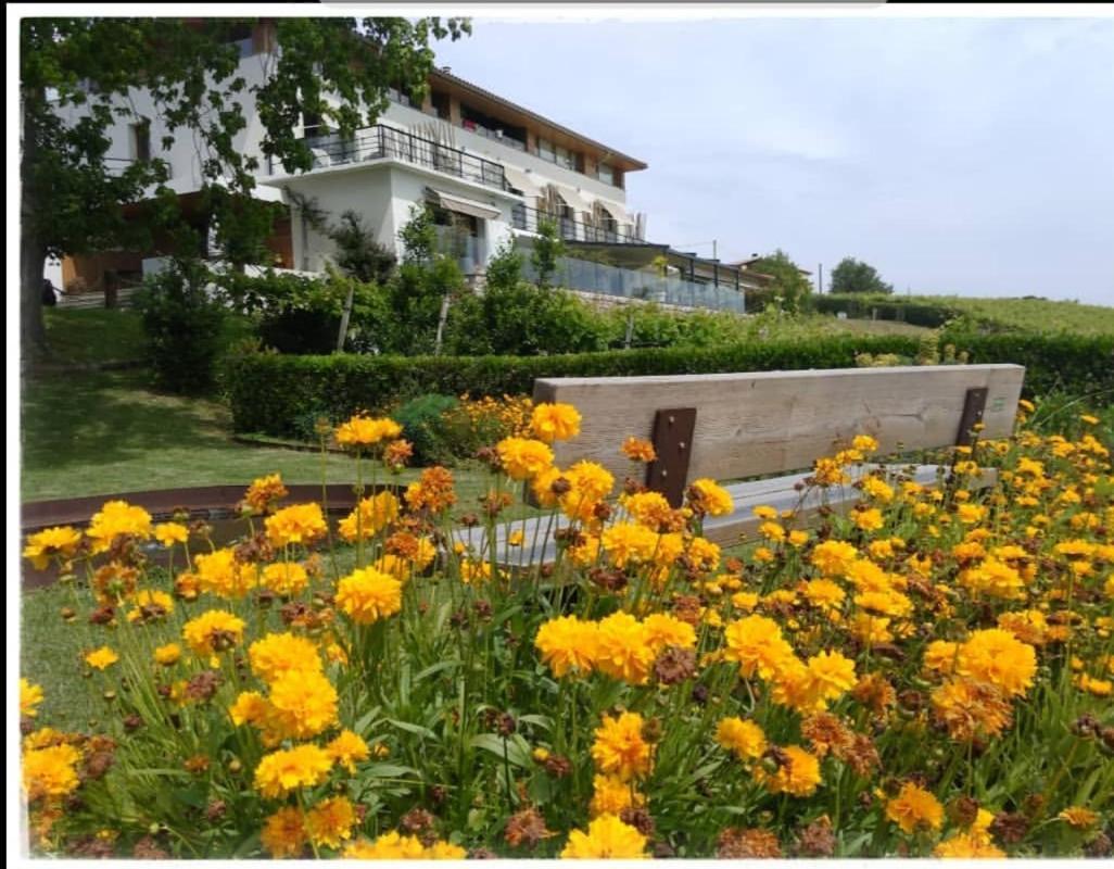 Hotel San Prudentzio Getaria Εξωτερικό φωτογραφία